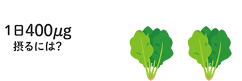 1日400μg摂るには ゆでたほうれん草 2束分