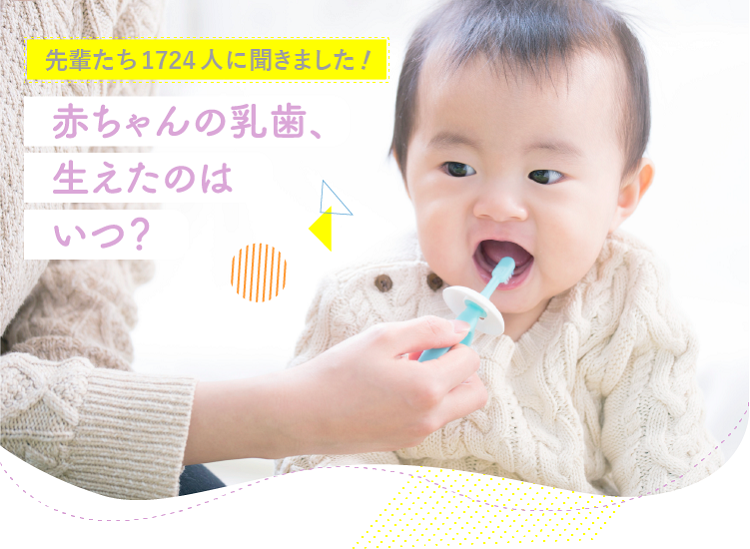 赤ちゃんの乳歯 生えたのはいつ ベビー マタニティ用品のアカチャンホンポ