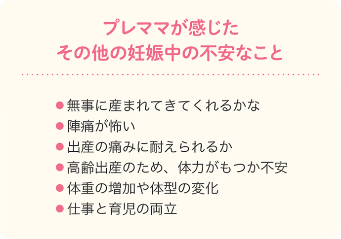 プレママが感じたその他の妊娠中の不安なこと・無事に産まれてきてくれるかな・陣痛が怖い・出産の痛みに耐えられるか・高齢出産のため、体力がもつか不安…