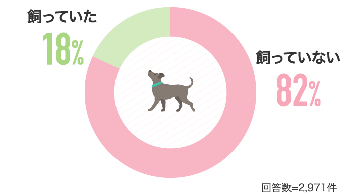 飼っていた18%飼っていない82%