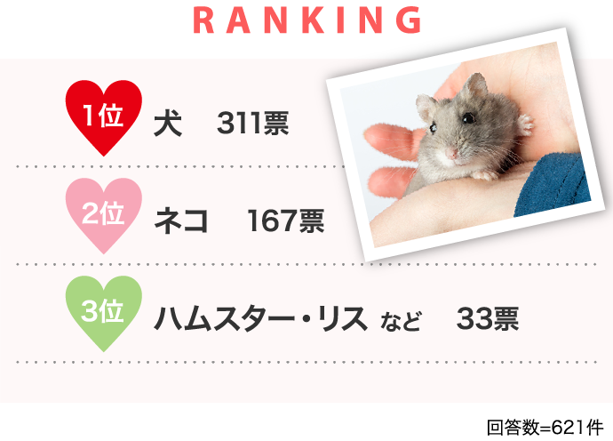 RANKING 1位犬 311票 2位ネコ 167票 3位ハムスター・リス など 33票…