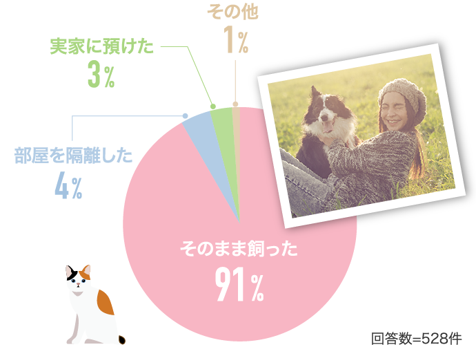 そのまま飼った91% 部屋を隔離した4% 実家に預けた3%…