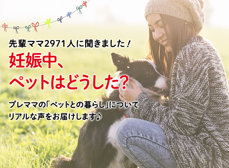 アカチャンホンポが妊娠中のペット事情について2,971人のリアルな声をお届け！どんなペットを飼っていたかなど気になる内容が盛りだくさん！