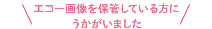 エコー画像を保管している方にうかがいました